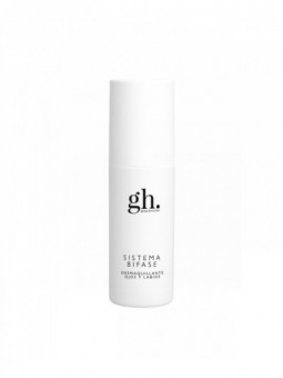 Gh Sistema Bifase...